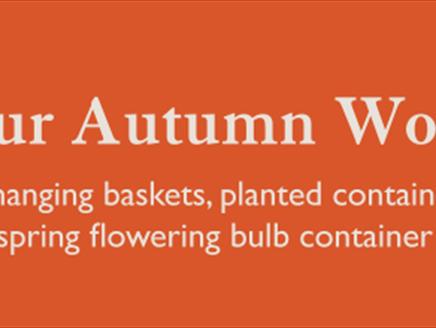 Hillier Garden Centre Winchester Autumn Workshop