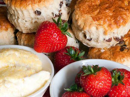 Pimms and Cream Tea at Sir Harold Hillier Gardens