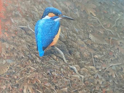 Kingfisher