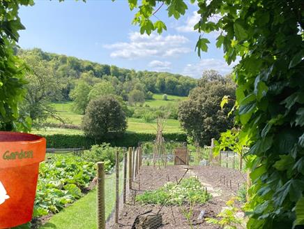 Gilbert's Garden: Kitchen Garden Planting Day at Gilbert White's House and Gardens