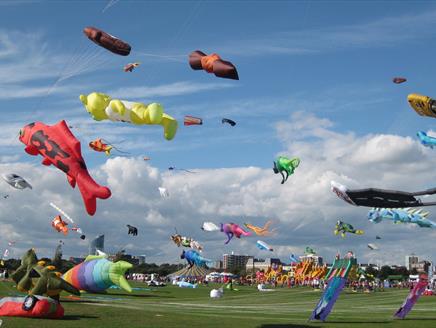 Photograph of kites in the air above Southsea Common for the Portsmouth International Kite Festival