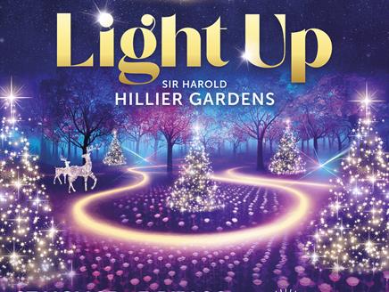 Light Up Sir Harold Hillier Gardens at Christmas