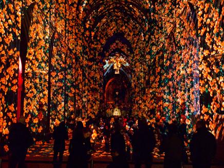 Poppy Fields at Winchester Cathedral