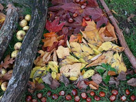 Autumn creative workshops at Mottisfont