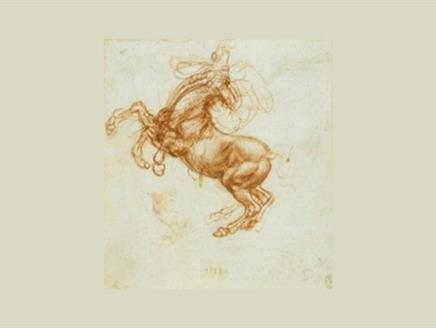 Leonardo da Vinci: A Life in Drawing at Southampton City Art Gallery