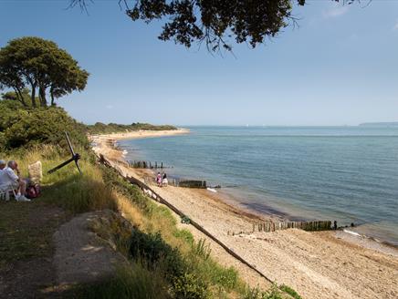 Bird Watching for Beginners at Lepe Country Park