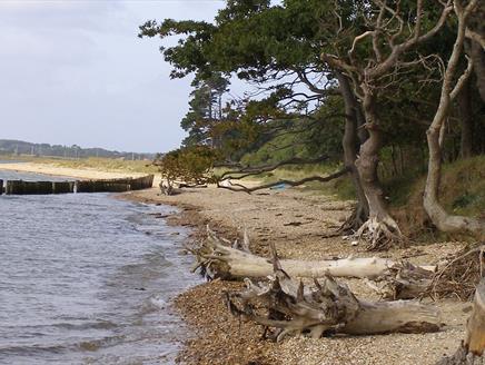 Lepe Loop Guided Walk at Lepe Country Park