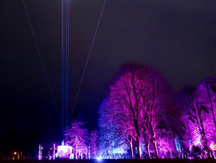A photo taken at Let's Glow 2024, purple and blue lights light up the trees in War Memorial Park.