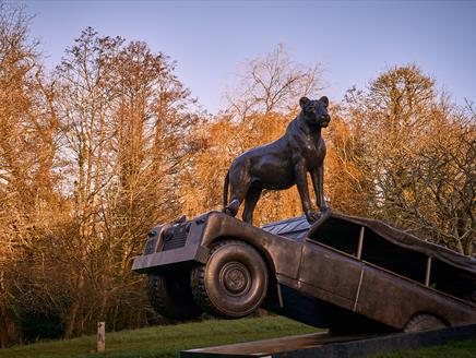 Born Free Forever with Will Travers OBE & Kirsty Gallagher at Chewton Glen Hotel & Spa