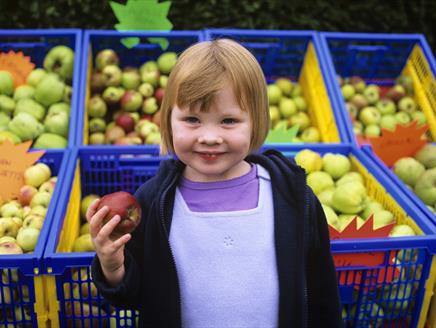 Apple Harvest Weekend at Winchester City Mill
