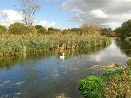 Longparish Harewood Hike