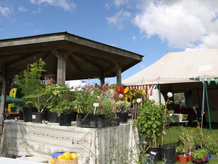 Longstock Village Fete