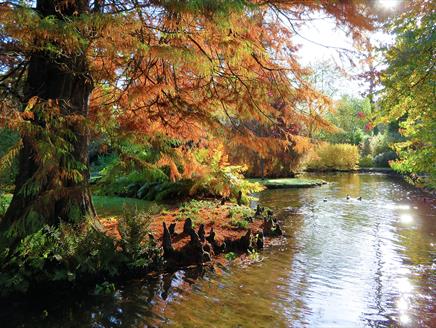 Longstock Park Water Garden Open Days