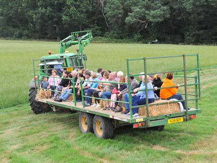 Lyburn Farm Cheese and Vegetable Tours - Hampshire Food Food Festival