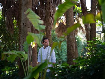 Alfredo Rodriguez is looking to the distance surrounded by palm trees and shrubbery.