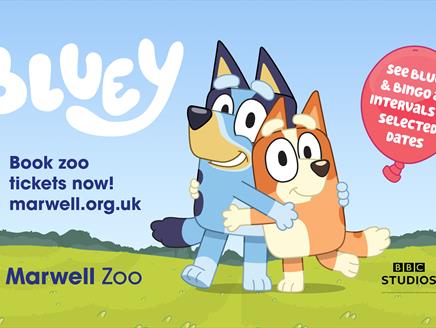 Bluey, Bingo and Hey Duggee are coming to Marwell Zoo!