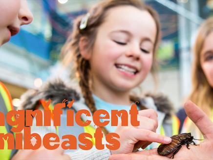 Magnificent Minibeasts at Winchester Science Centre