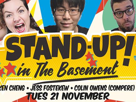 Stand Up in The Basement Comedy