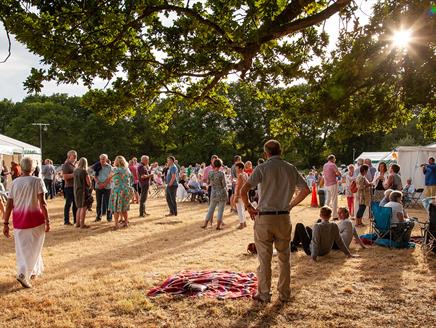 Winchfield Festival
