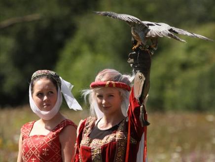 Medieval Madness at Hawk Conservancy Trust