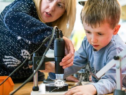 Micro Marvels at Winchester Science Centre & Planetarium