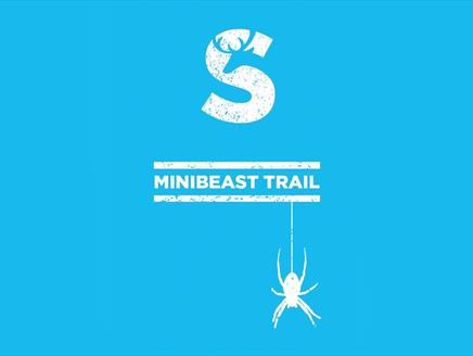 Explorer Trails at Sky Park Farm This Summer