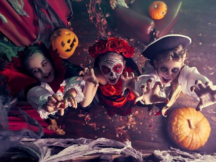 Monster Party