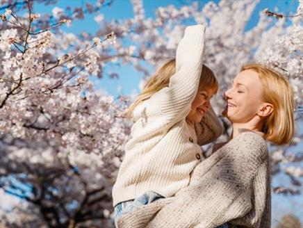 Half Price for Mums on Mothering Sunday at Exbury Gardens