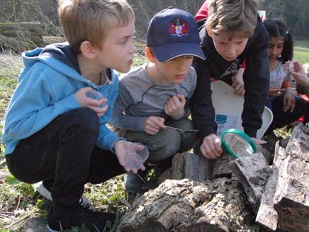 Nature Explorer Days at Gilbert White's House & Gardens