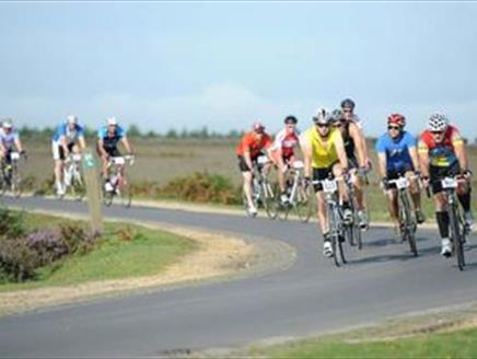 The New Forest Rattler Sportive
