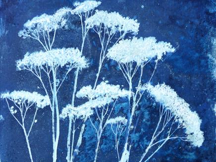 Cyanotype Art Solo Exhibition by PJ Preston at Gilbert White's House