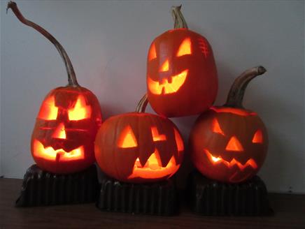Pumpkin Carving at Sir Harold Hillier Gardens