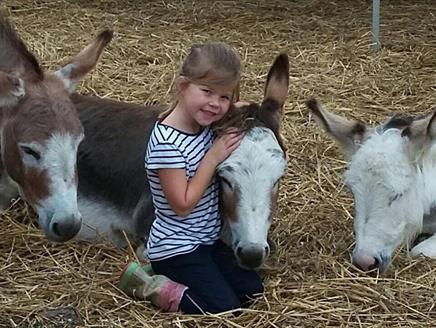 May Half Term Farm Open Days at Miller's Ark Animals