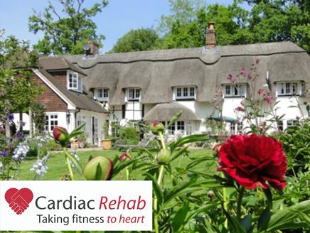Thatched Cottage and garden