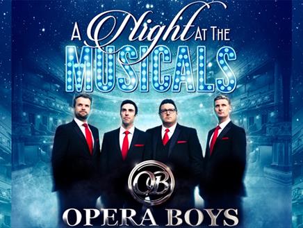 Poster for Opera Boys - A night at the musicals