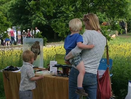 Nature Day at Gilbert White's House & Gardens