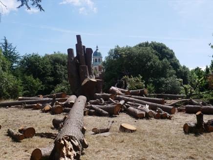 Fair Ways Fairy Garden Launch at Royal Victoria Country Park