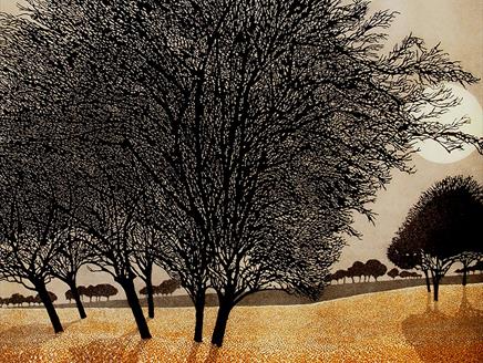 Contemporary Cuts at St Barbe Museum and Art Gallery