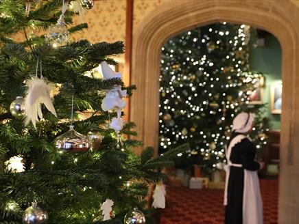 Festive Fun at Beaulieu