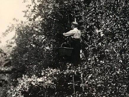 125 Years in the Gardens at The Vyne