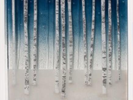 Photofusion Photography & Glass Exhibition at Sir Harold Hillier Gardens