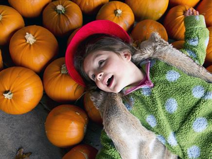 Halloween Pumpkin Carving at Winchester City Mill