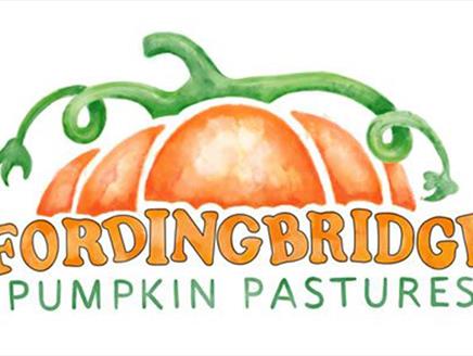 Fordingbridge Pumpkin Pastures Pumpkin Picking