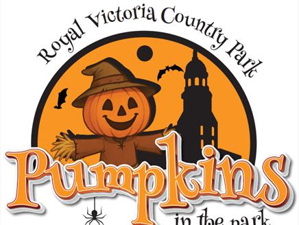 Pumpkins in the Park at Royal Victoria Country Park