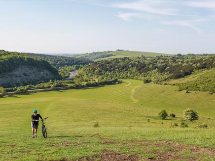 Queen Elizabeth Country Park Open Day