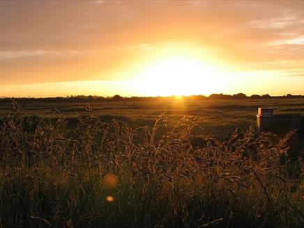 Farlington Marshes Wildlife Reserve