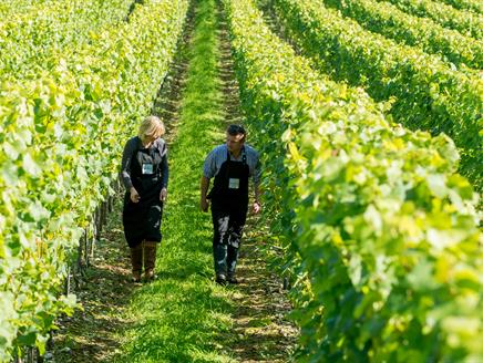 Raimes Vineyard Sparkling Cellar Door & Tours