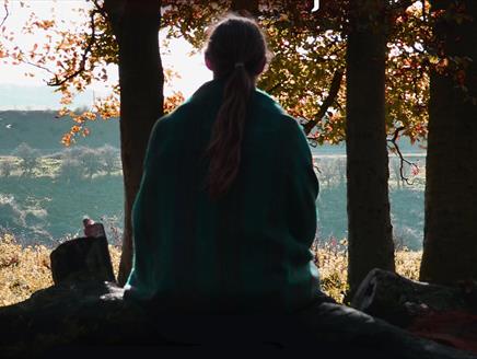 Resonance Photography: Mindful Creativity in Nature at Queen Elizabeth Country Park