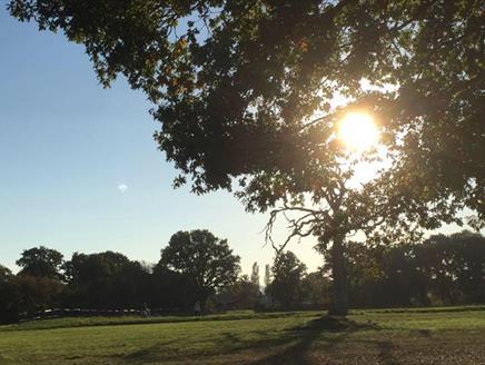 Relax, Recharge & Rejuvenate Day Retreat
