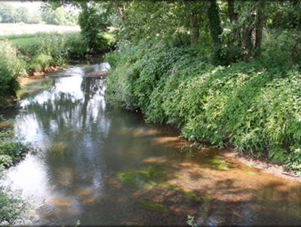 Woodington / Whinwhistle Fisheries